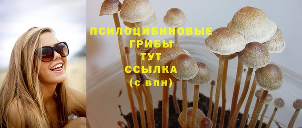 mdma Новодвинск