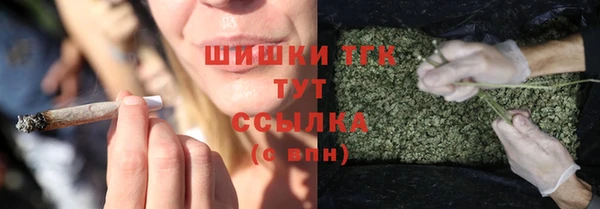 стафф Гусев