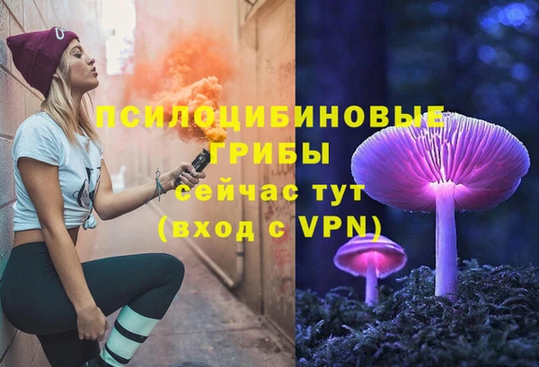 винт Гусиноозёрск