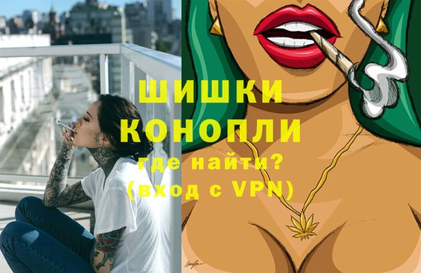 стафф Гусев
