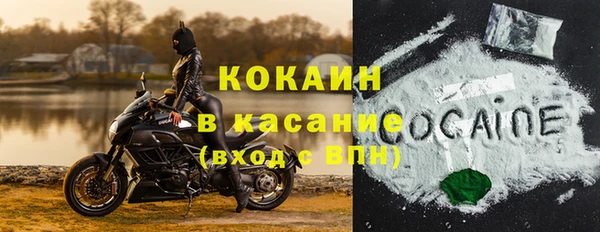 стафф Гусев