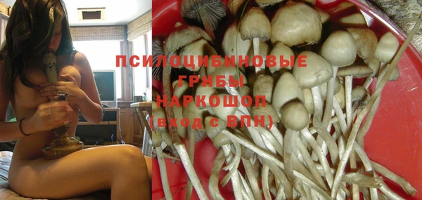 винт Гусиноозёрск
