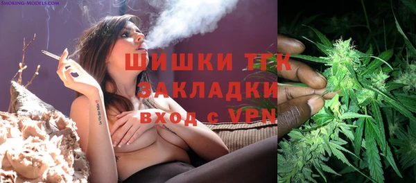 стафф Гусев
