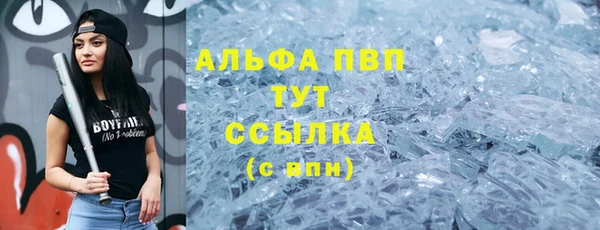 винт Гусиноозёрск