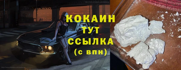 стафф Гусев