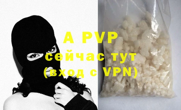 винт Гусиноозёрск